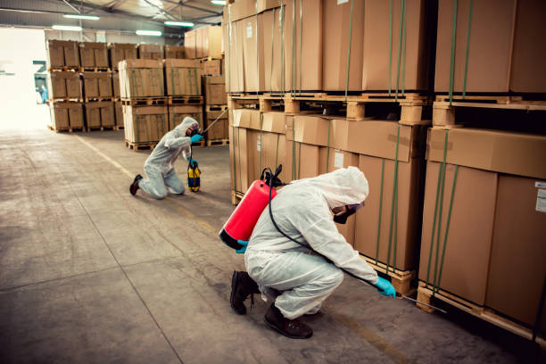Best Affordable Pest Control Services  in New Paris, IN