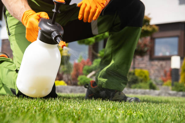 Professional Pest Control in New Paris, IN