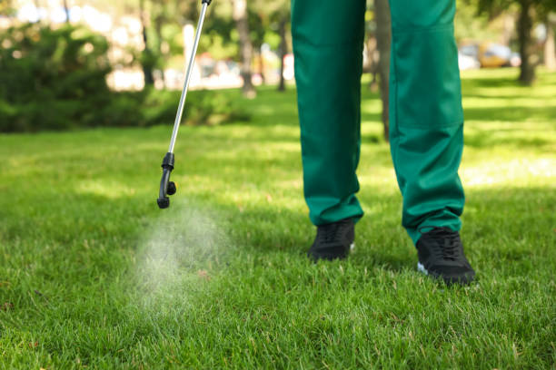Best Insect Control  in New Paris, IN