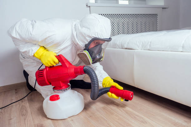 Best Local Pest Control Services  in New Paris, IN