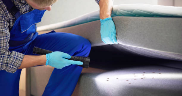 Best Ant Control Services  in New Paris, IN
