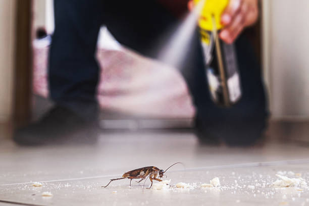 Best Pest Prevention Services  in New Paris, IN