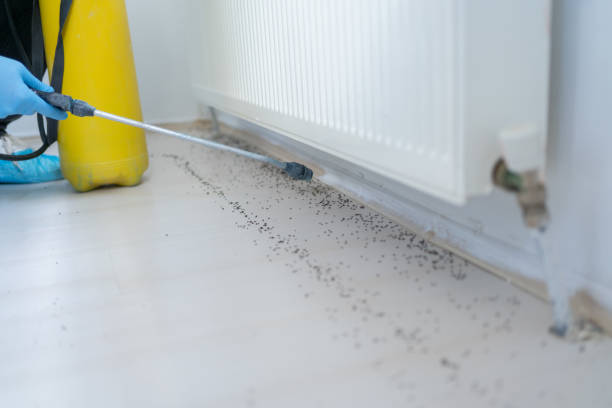 Best Pest Inspection Near Me  in New Paris, IN