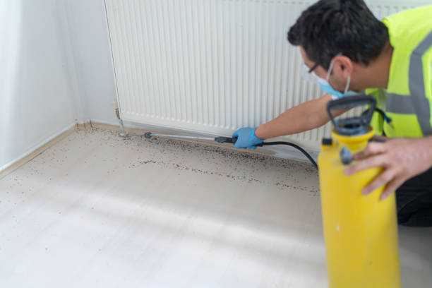 Best Pest Control for Homes  in New Paris, IN